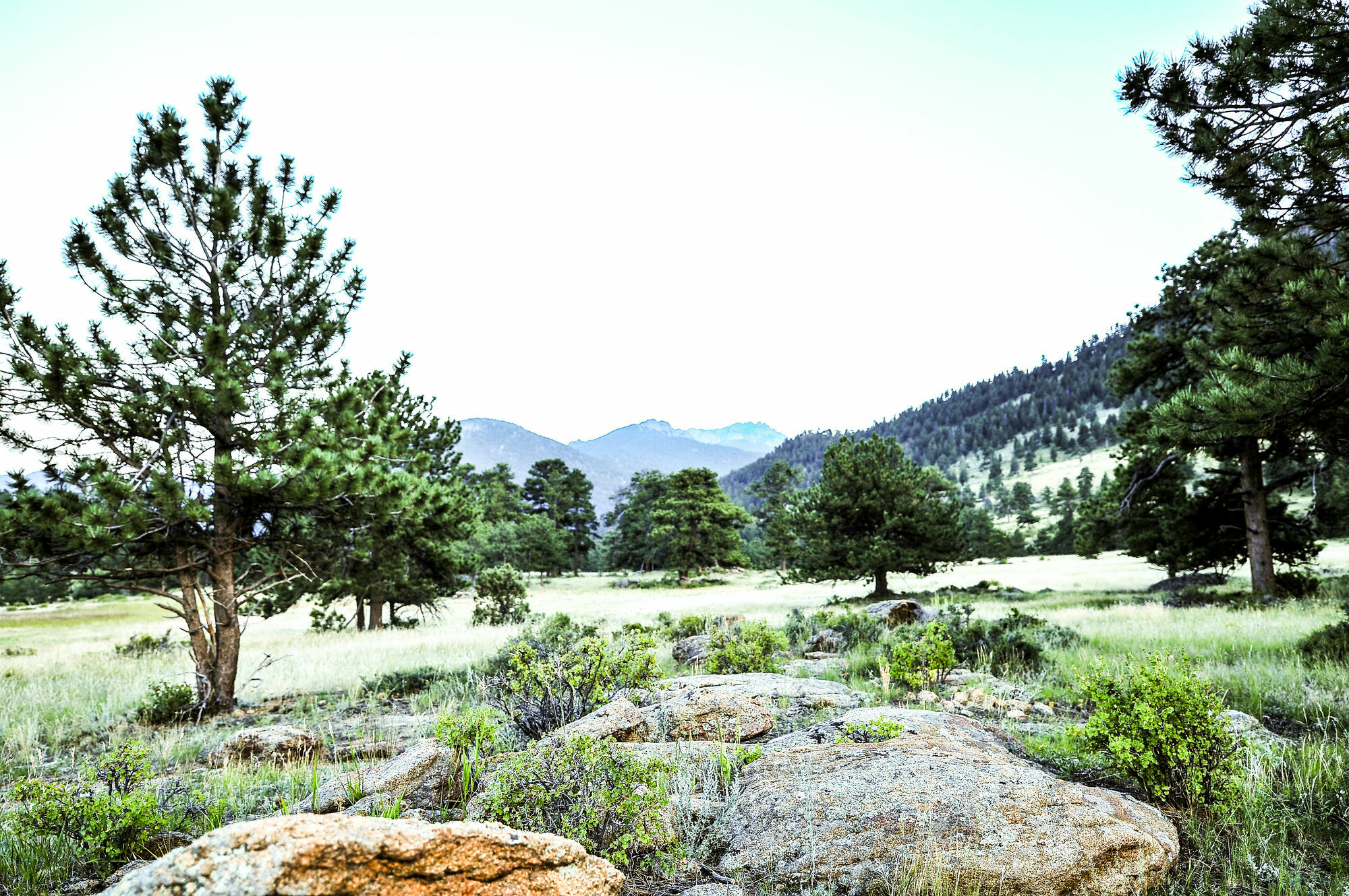 The Historic Crag'S Lodge Estes Park Exterior photo